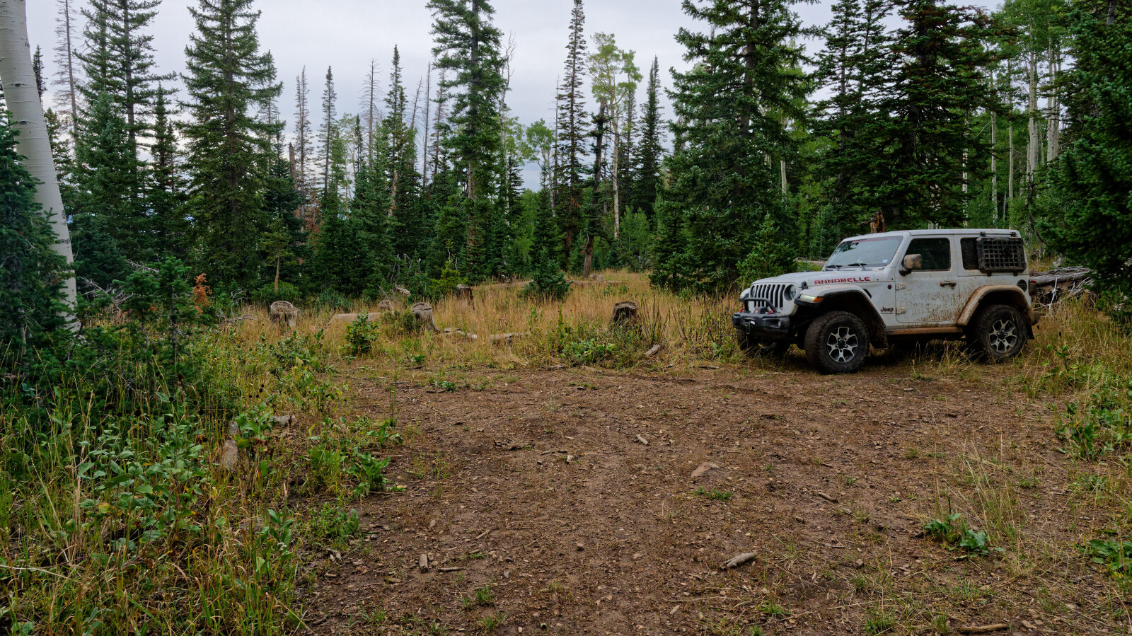 Waypoint 5