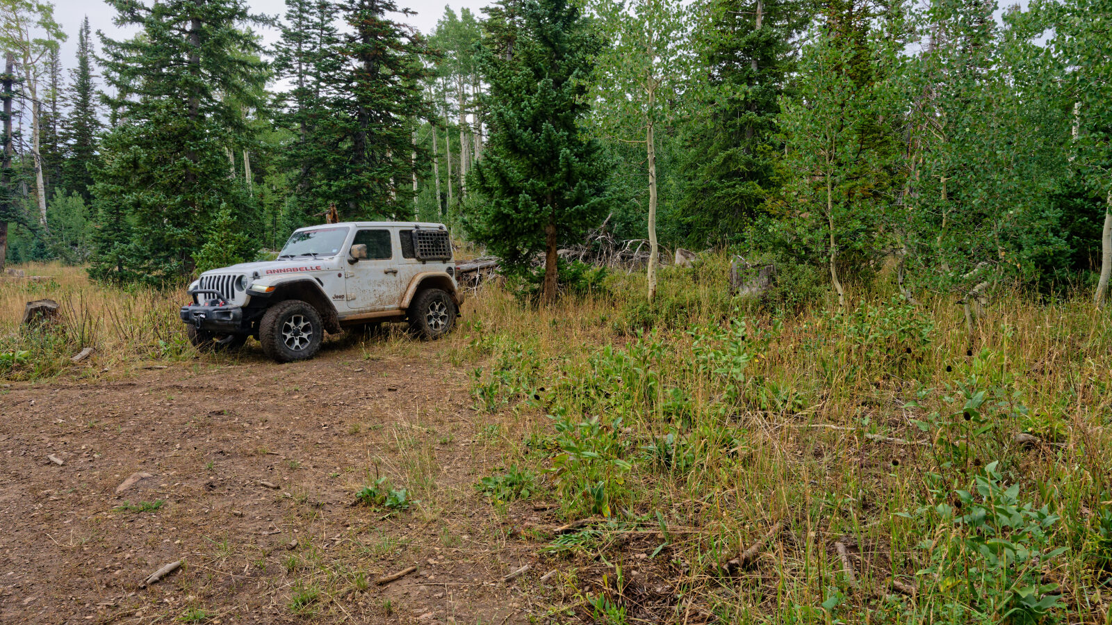 Waypoint 5