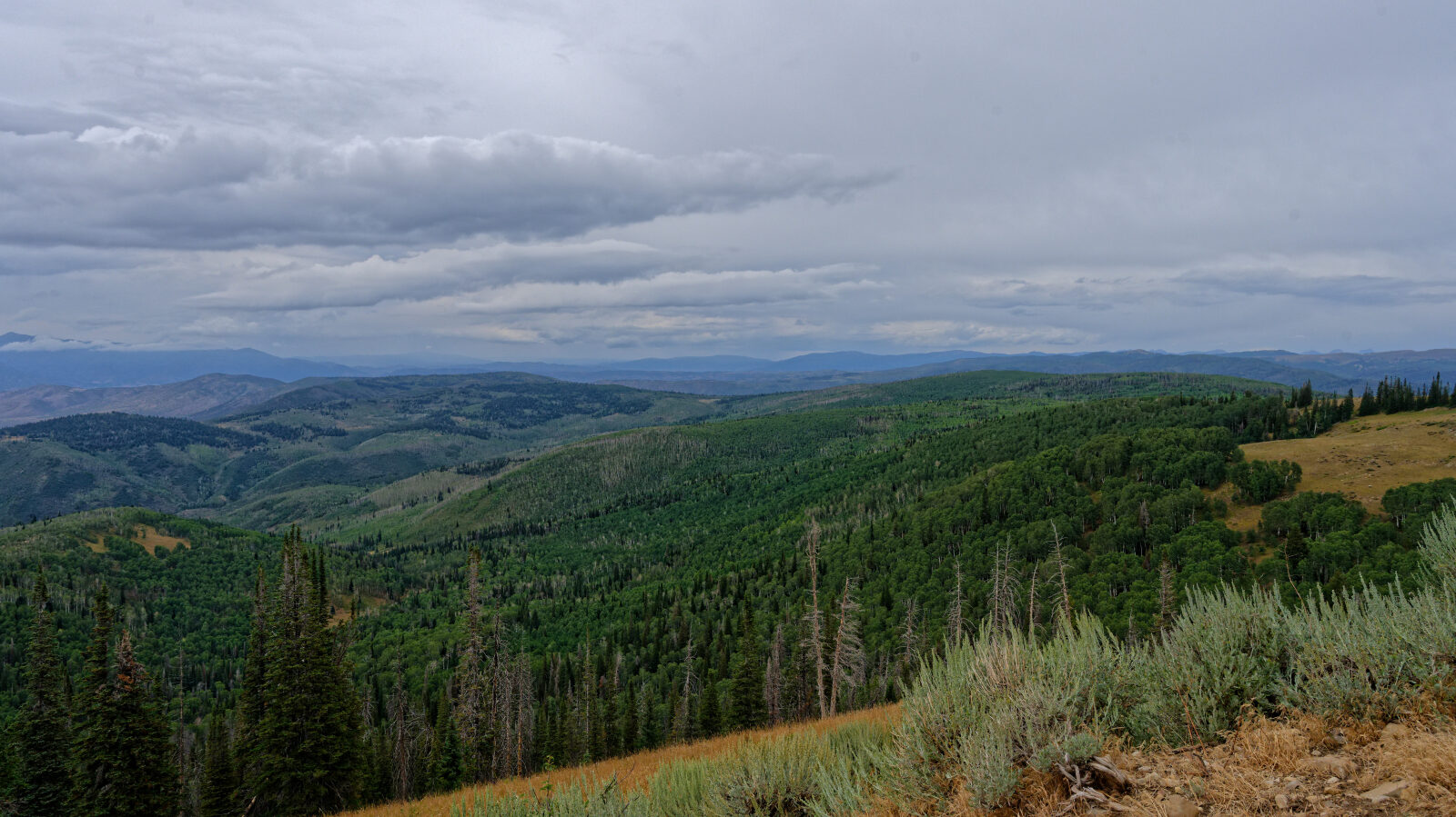 Waypoint 2