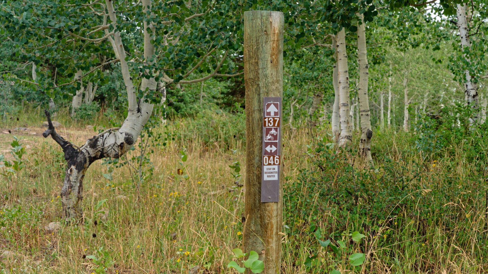 Waypoint 7