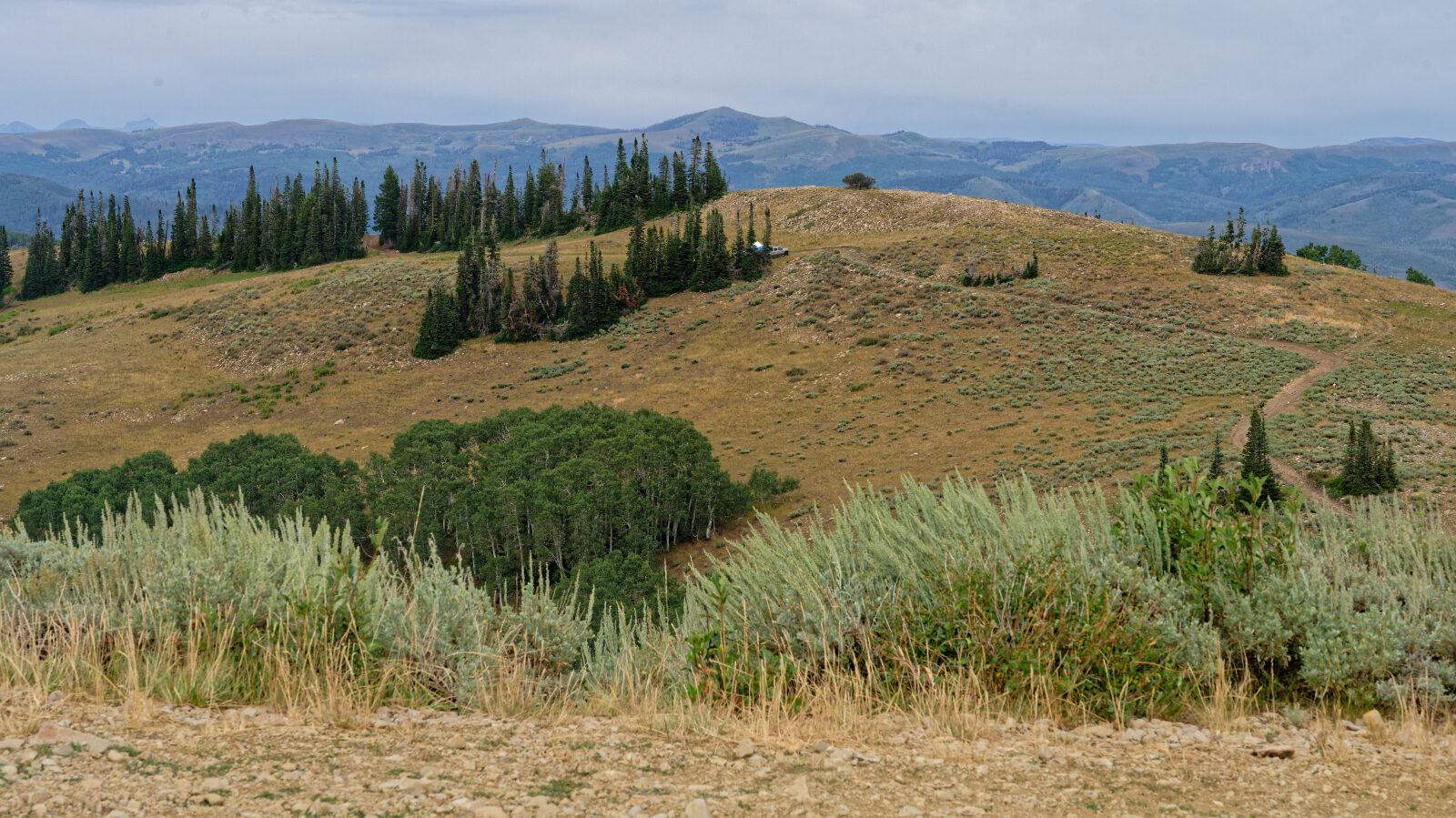 Waypoint 2