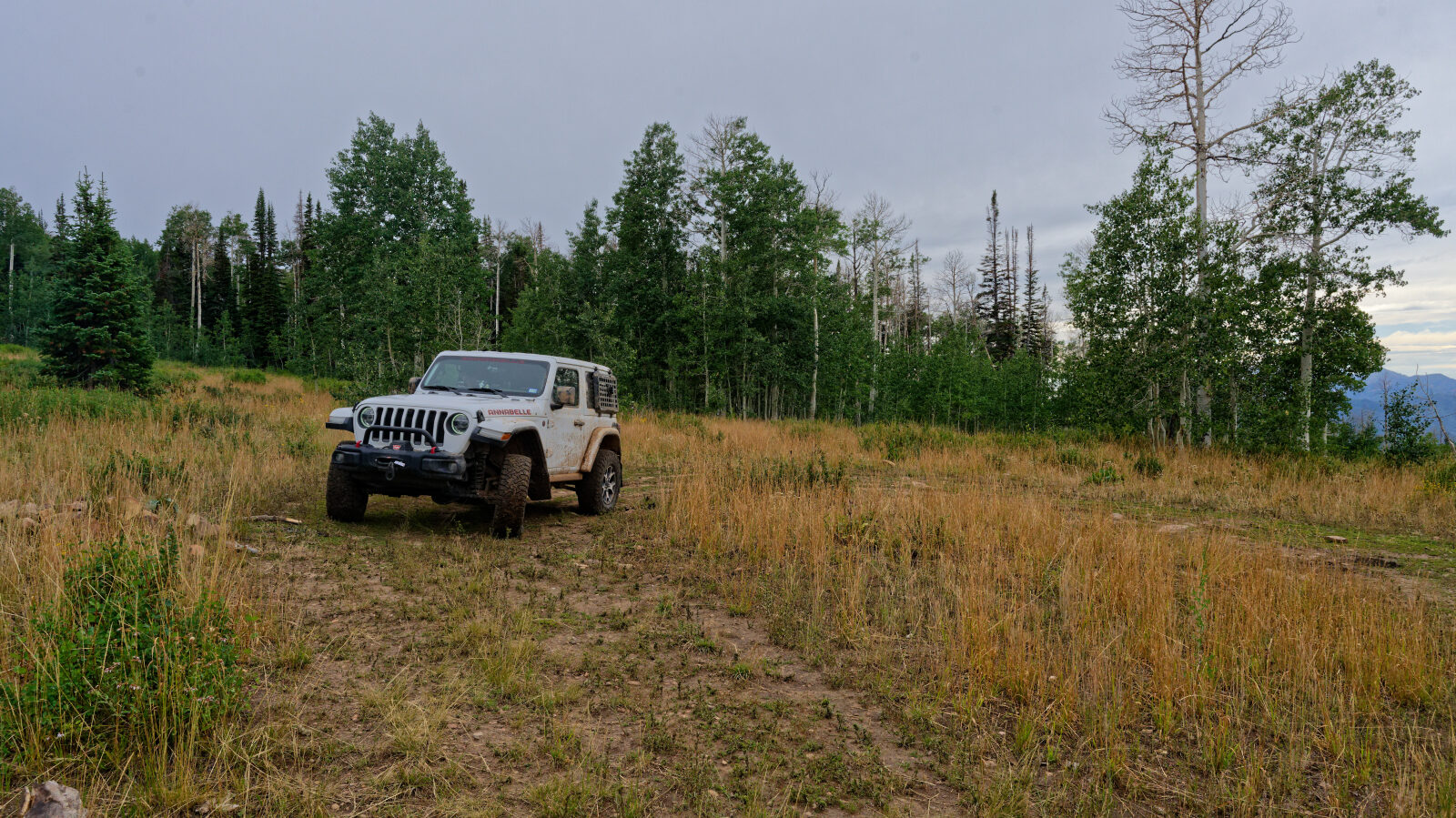 Waypoint 6