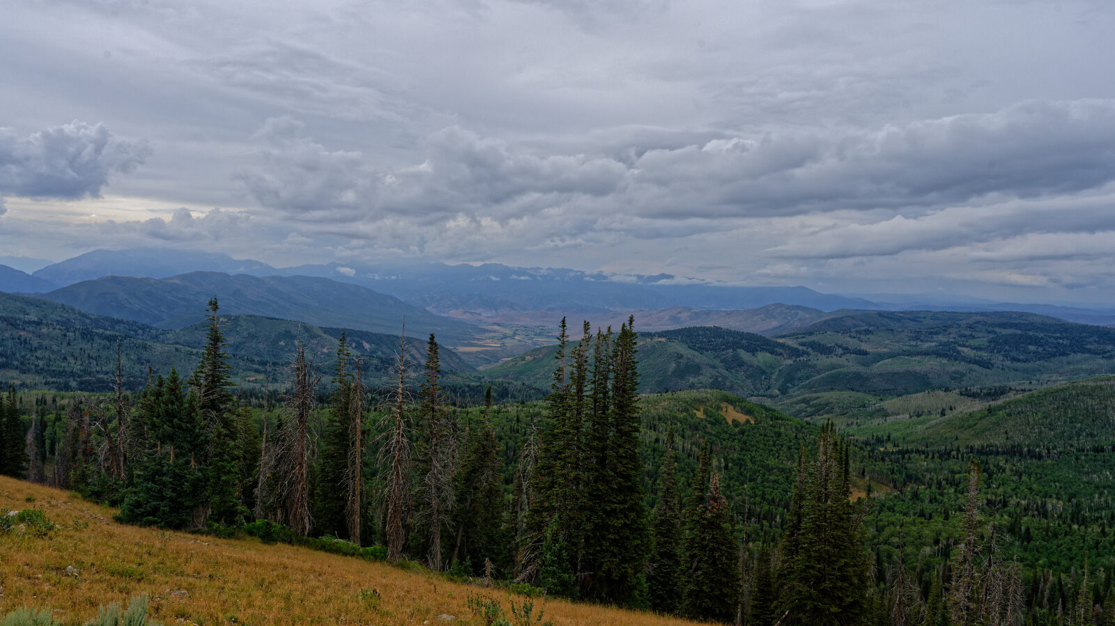 Waypoint 2