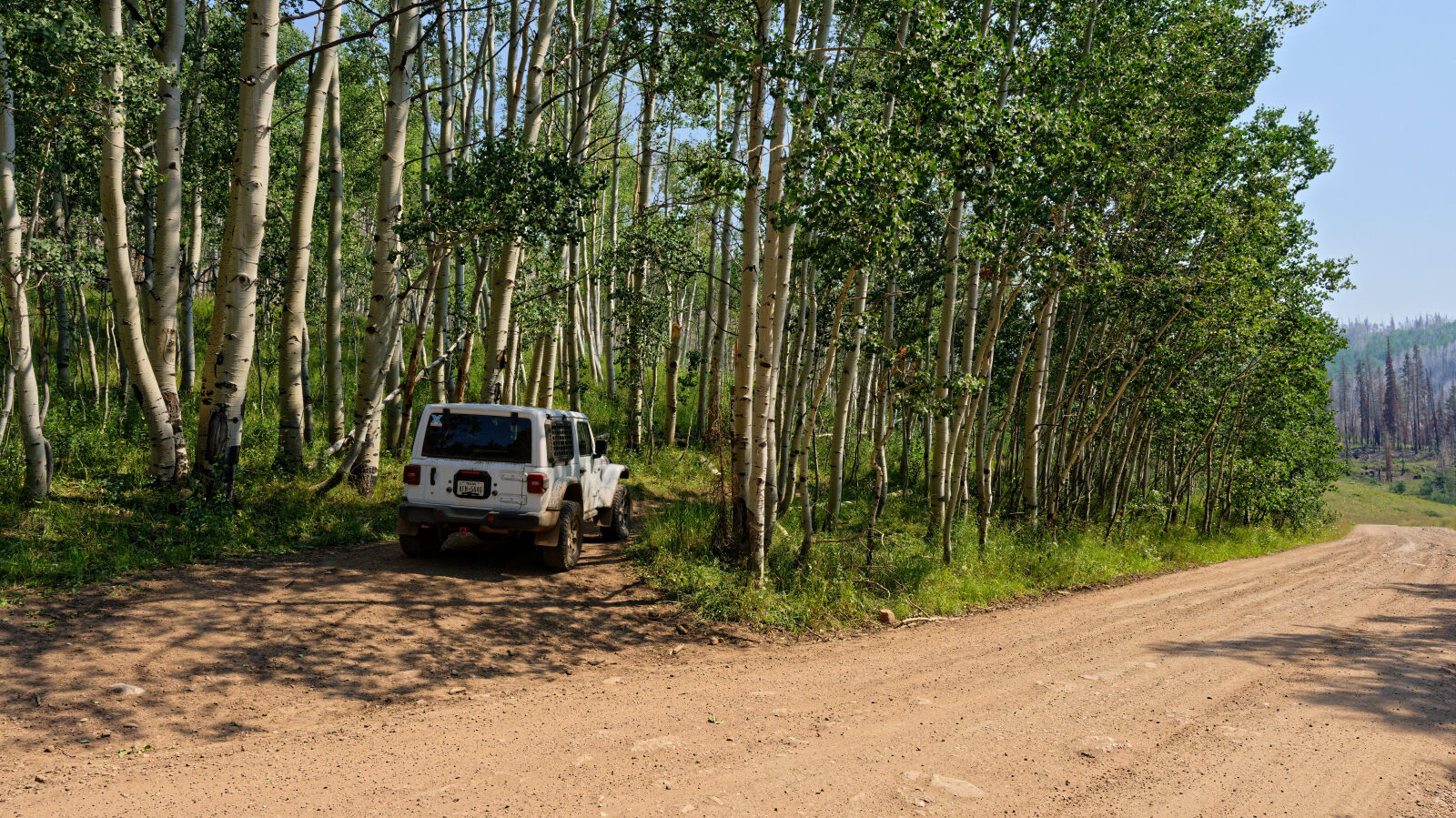 Waypoint 1