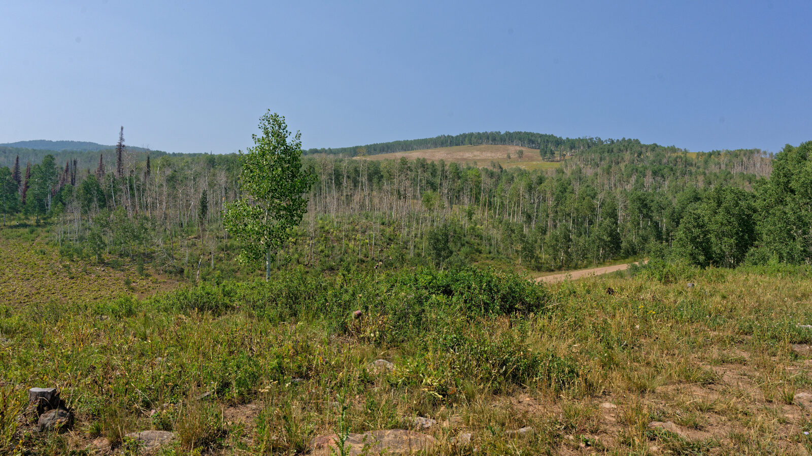 Waypoint 2