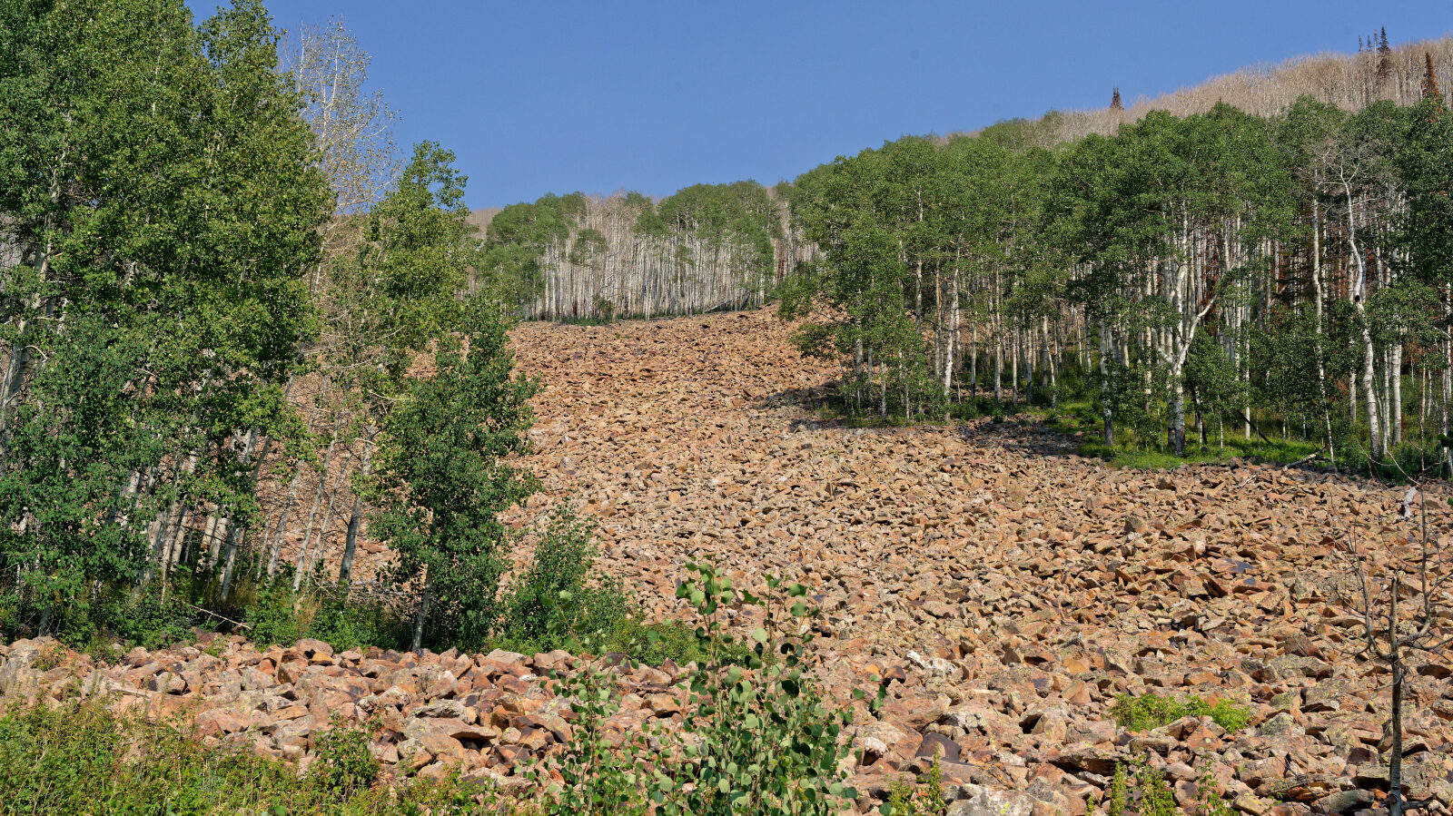 Waypoint 2