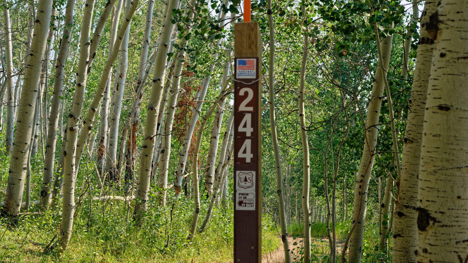 Waypoint 1