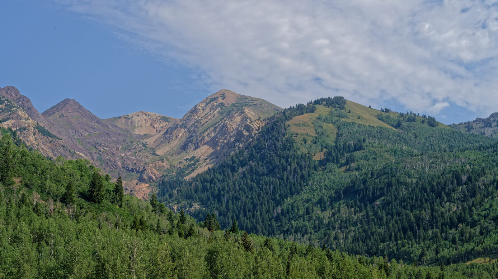 Waypoint 4