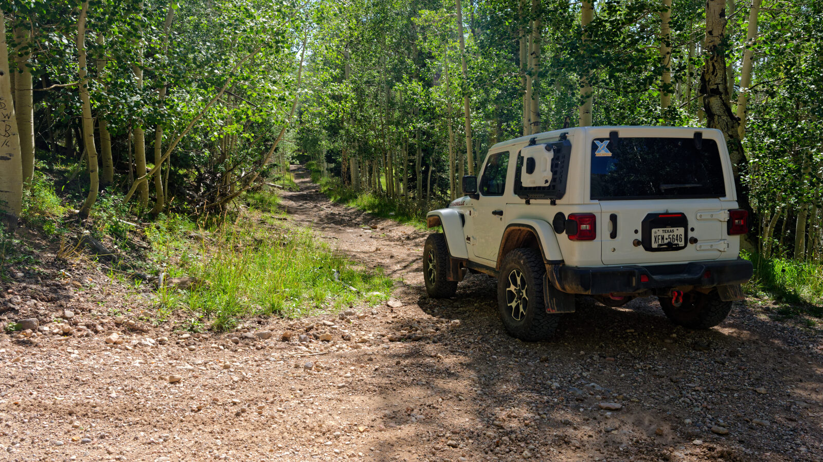Start of Low Mountain Road, Forest Road 31572.