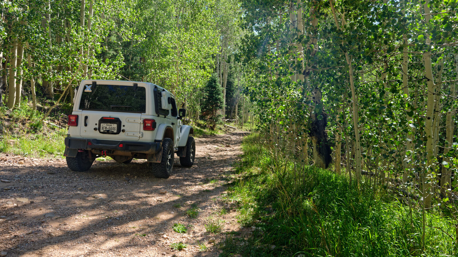 Start of Low Mountain Road, Forest Road 31572.