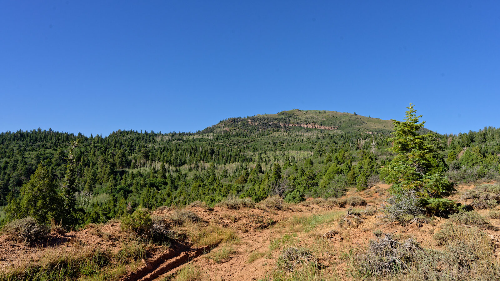 End of the trail. There are no camping spaces along the whole route.