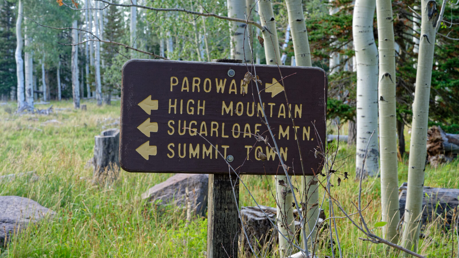Waypoint 8