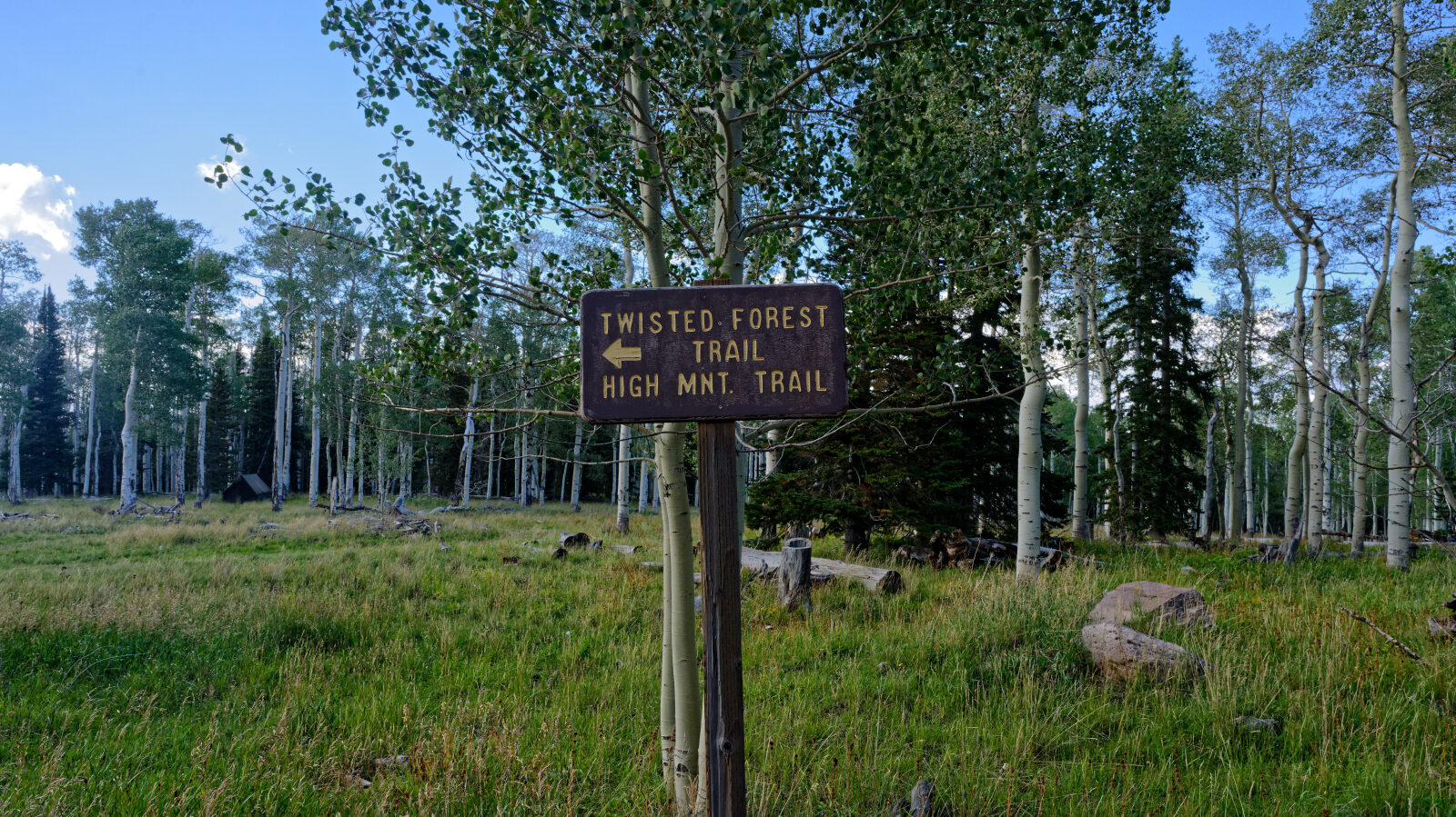 Waypoint 8