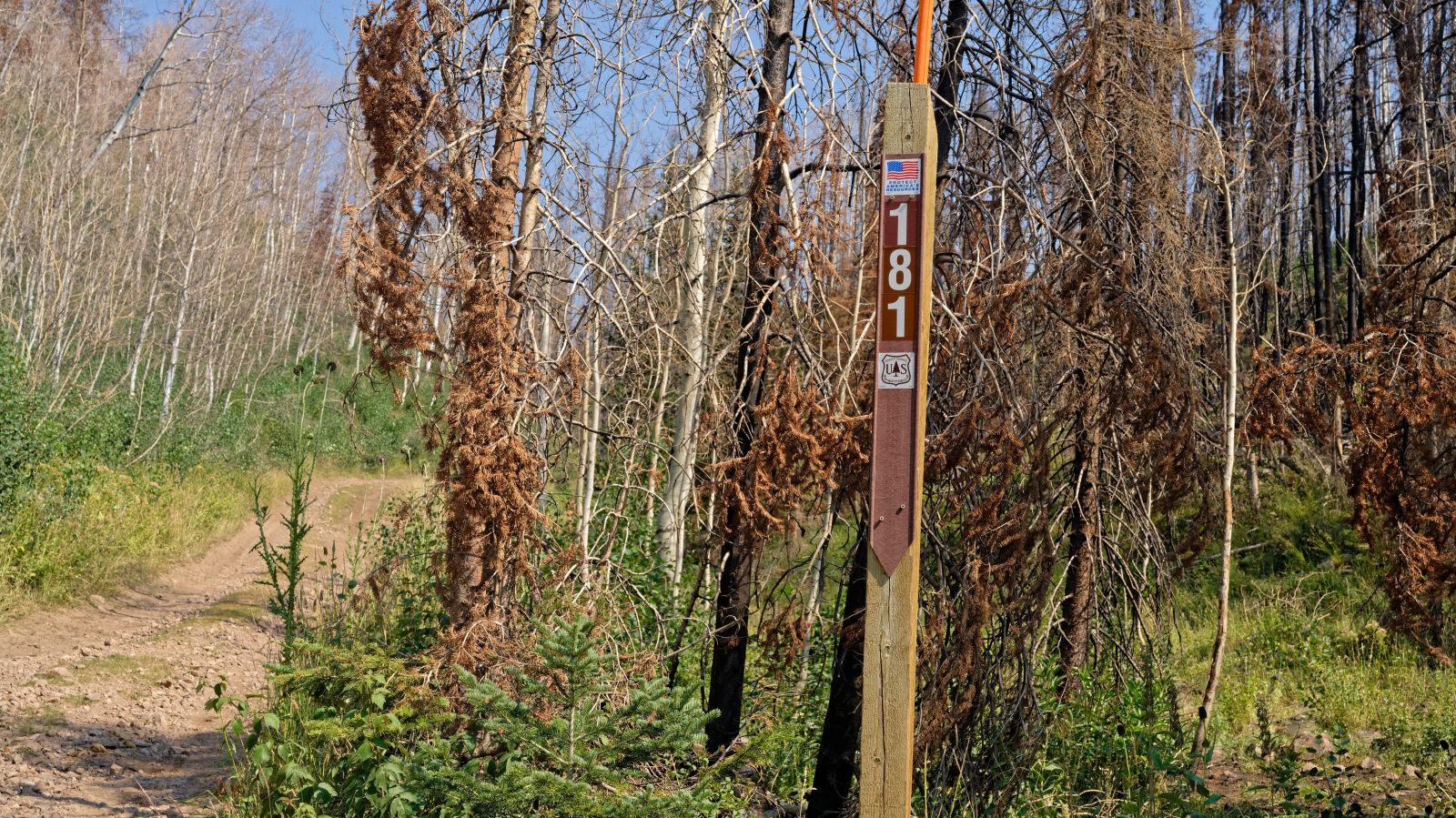 Waypoint 1