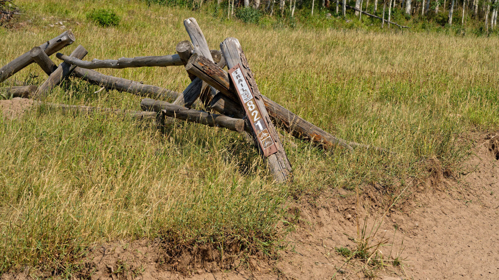 Waypoint 4