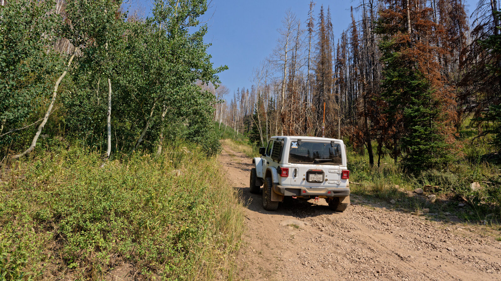 Waypoint 1