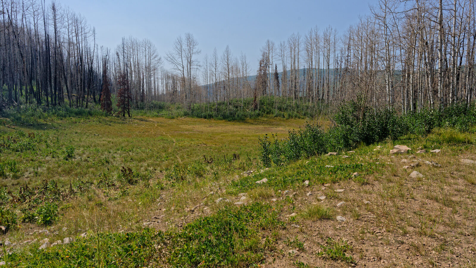 Waypoint 3