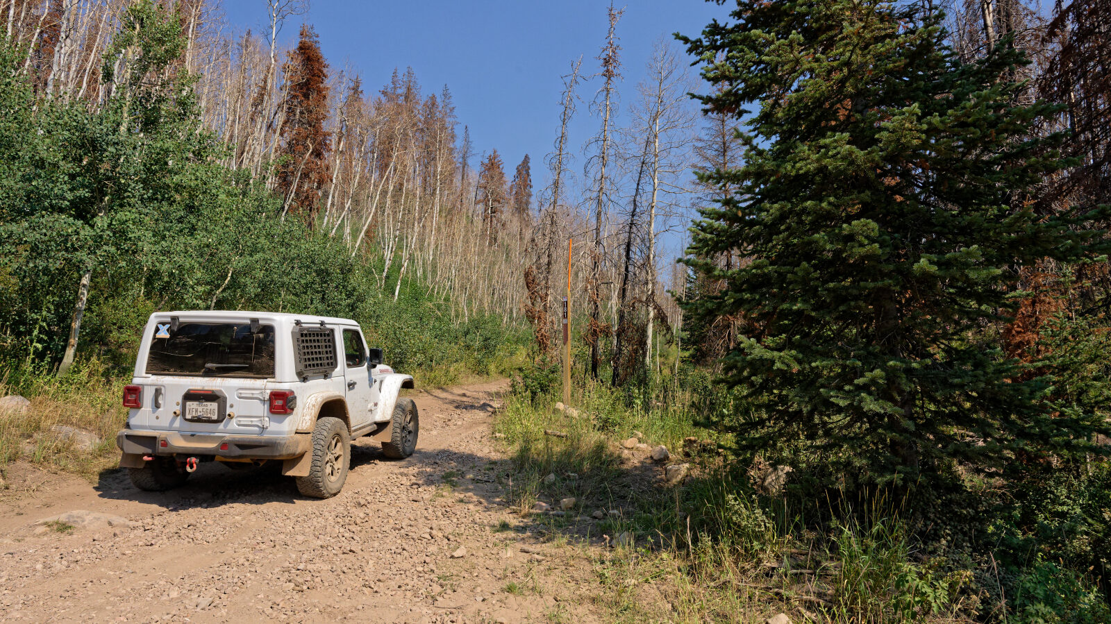 Waypoint 1