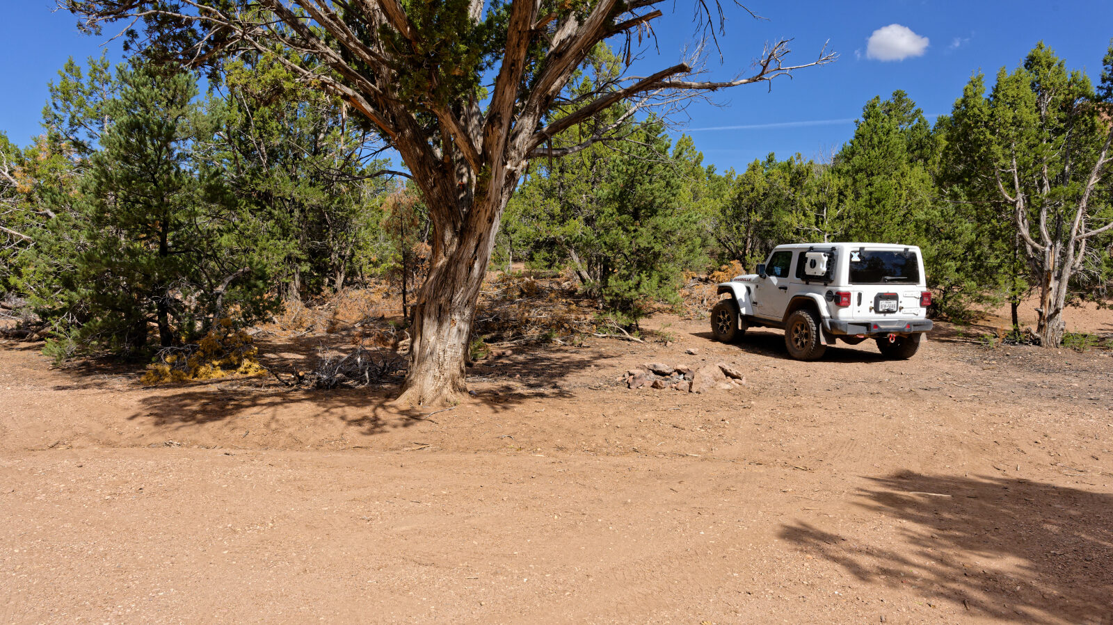 Camping spot for one or two small rigs or small trailers. It has shade but is not private, and it sits next to an ATV trail.