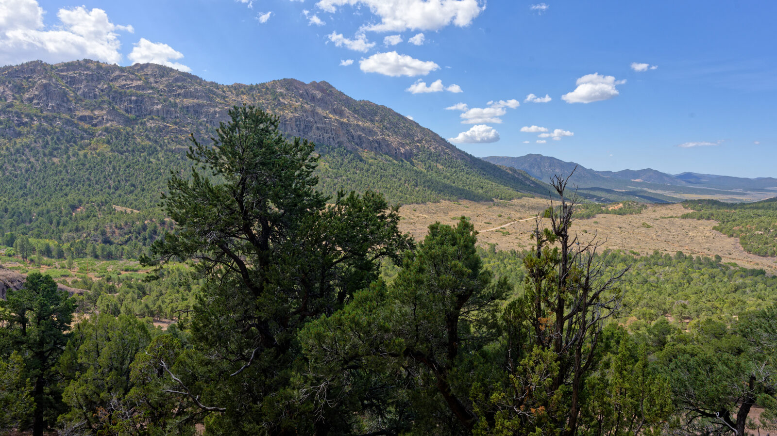 Waypoint 4