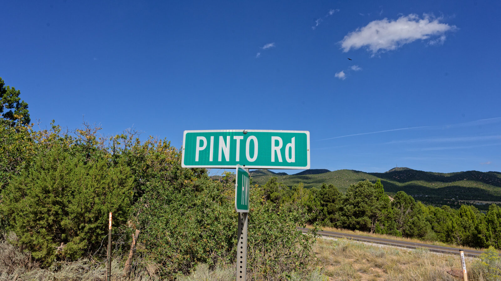 Start of Pinto Road, also called Mountain Valley Road or Iron Mountain Road. The forest service number is 30009.