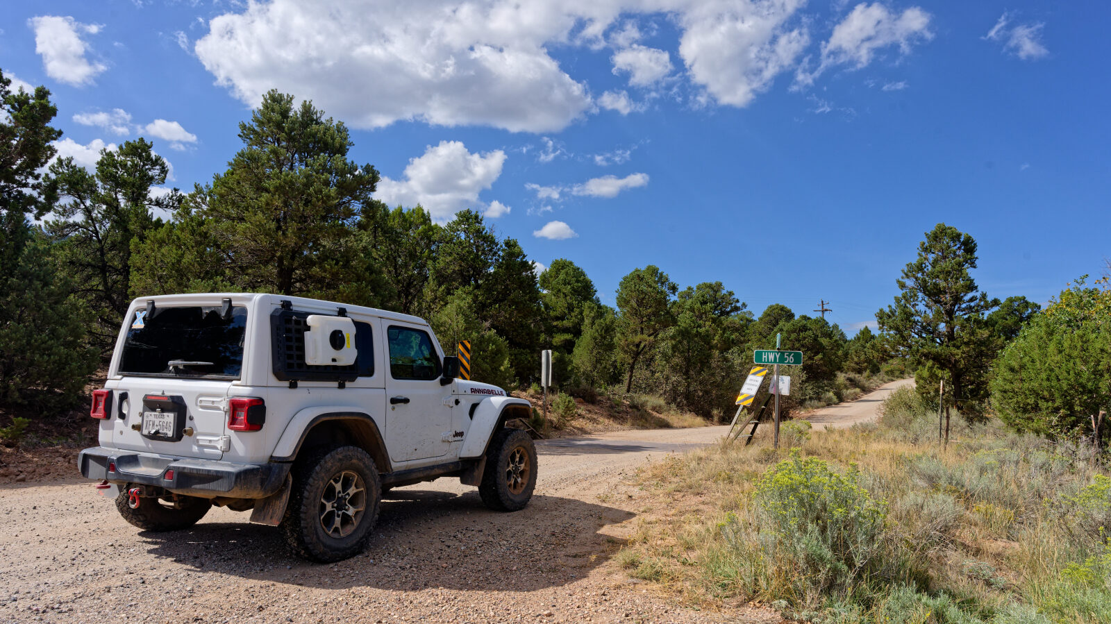 Start of Pinto Road, also called Mountain Valley Road or Iron Mountain Road. The forest service number is 30009.