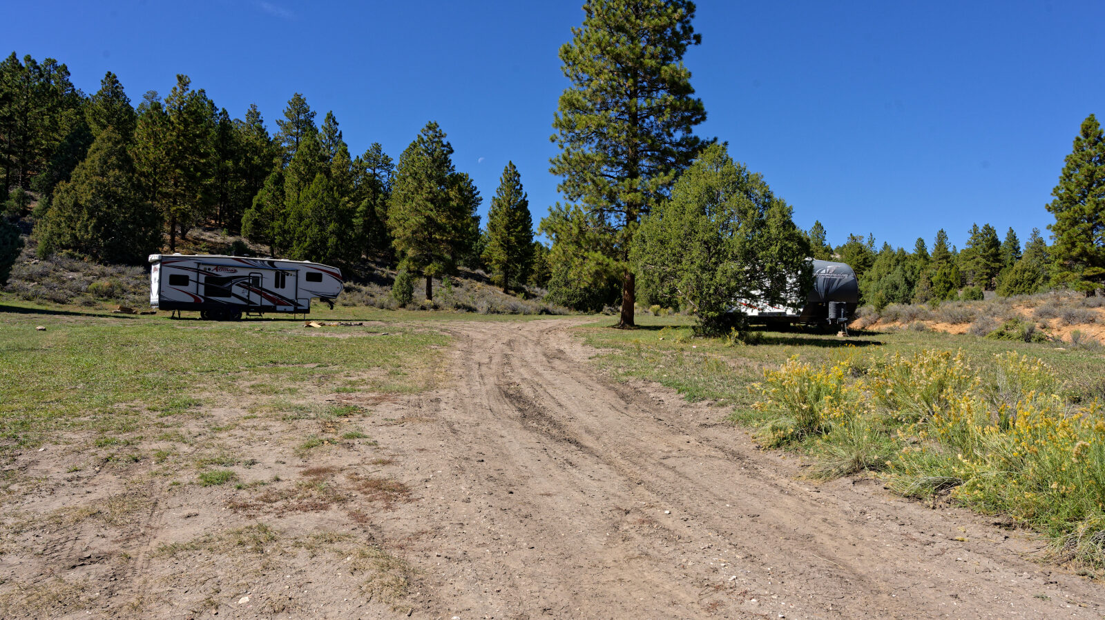 Camping with little shade and a few trees. There is some privacy if the spot is just your group.