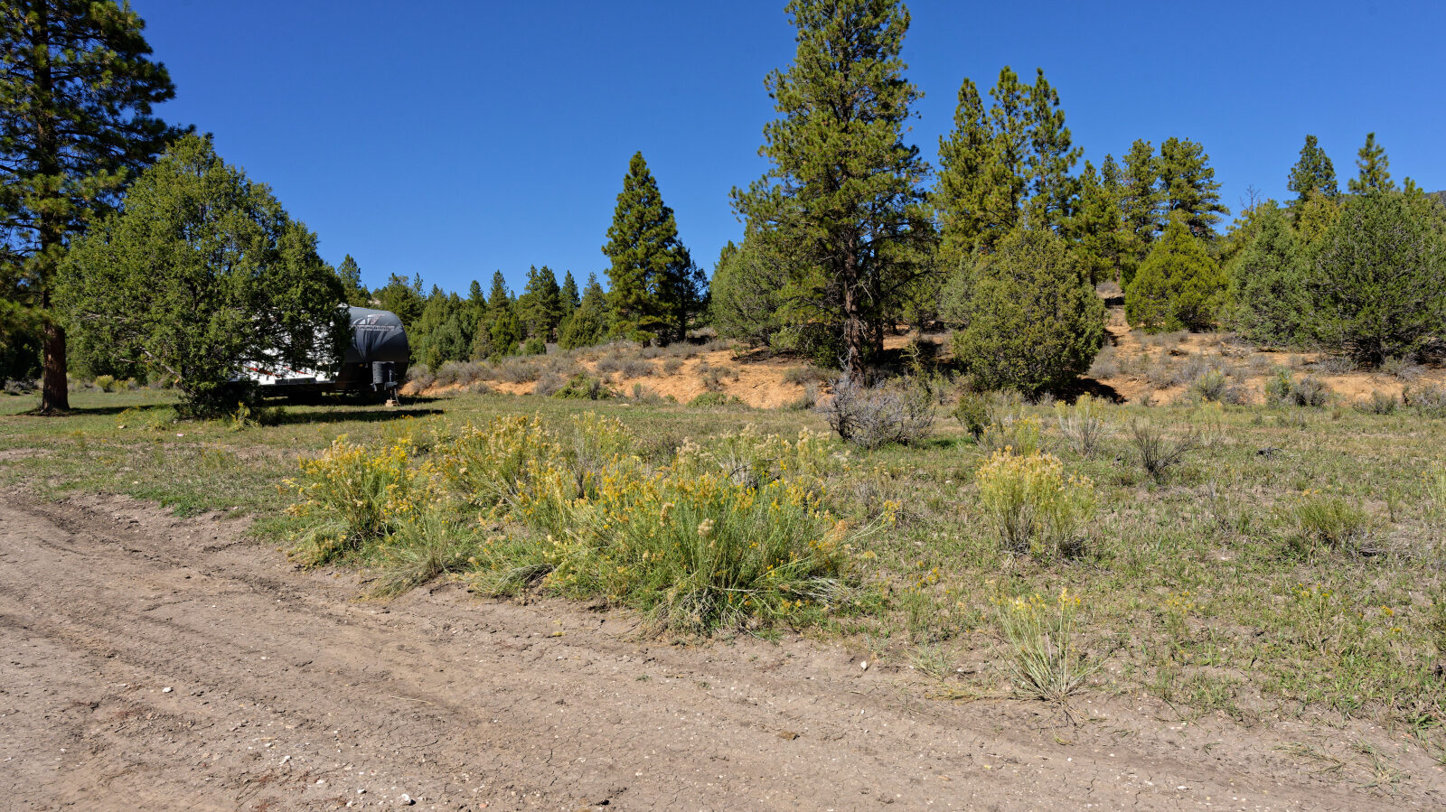 Camping with little shade and a few trees. There is some privacy if the spot is just your group.