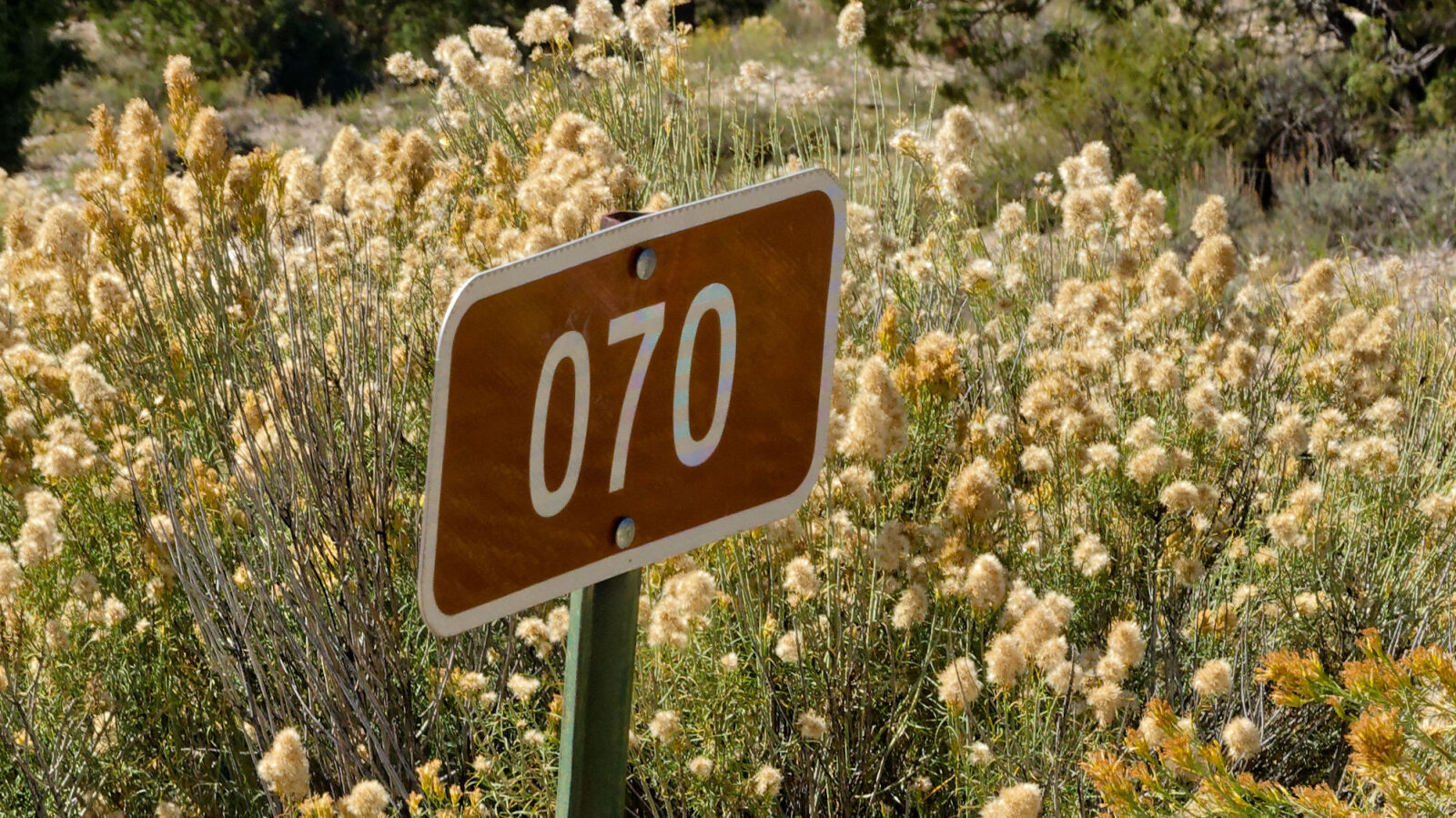 Waypoint 2