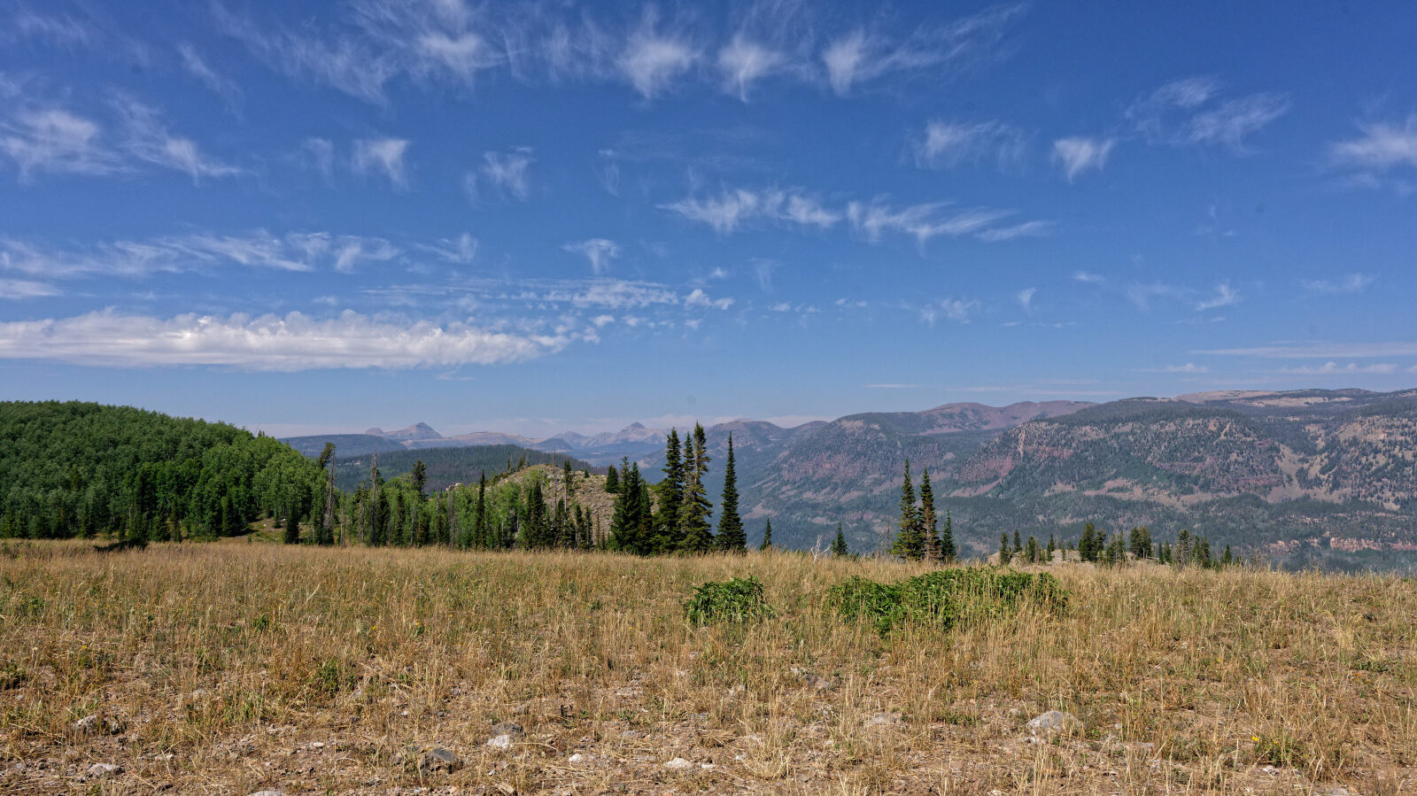 Waypoint 2