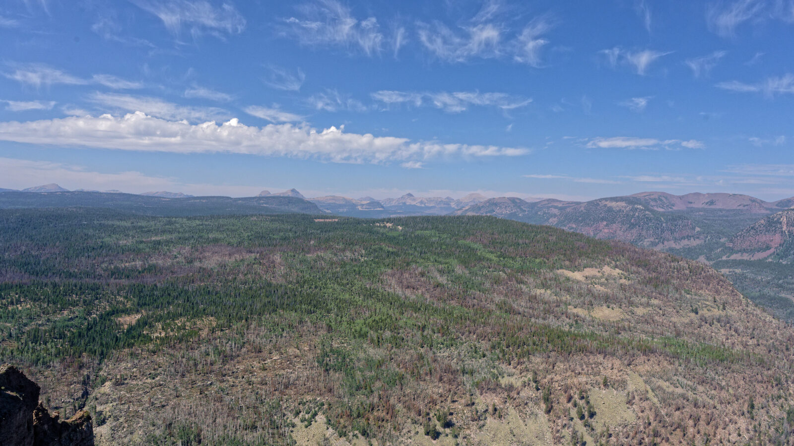 Waypoint 4