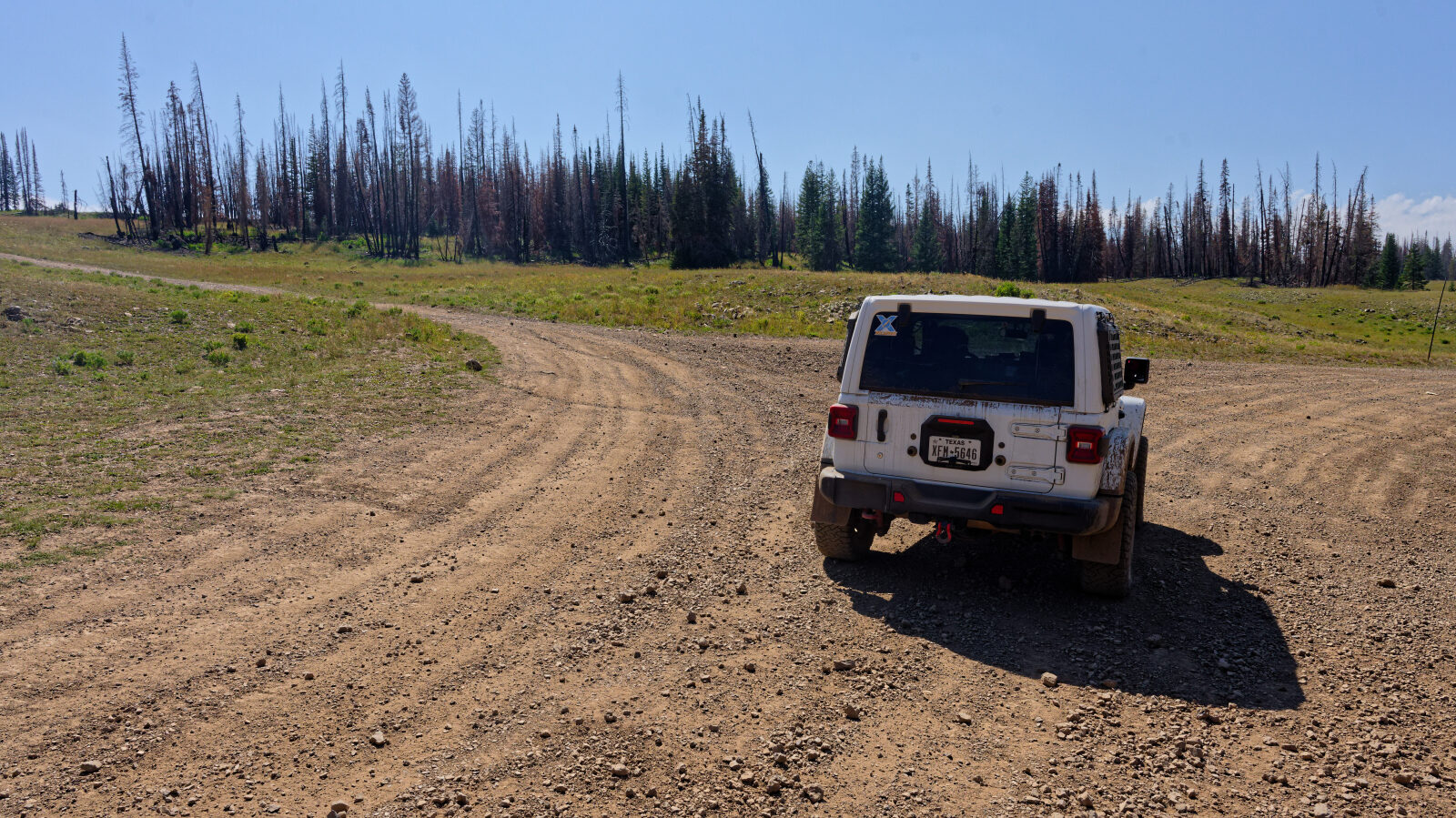 Waypoint 5