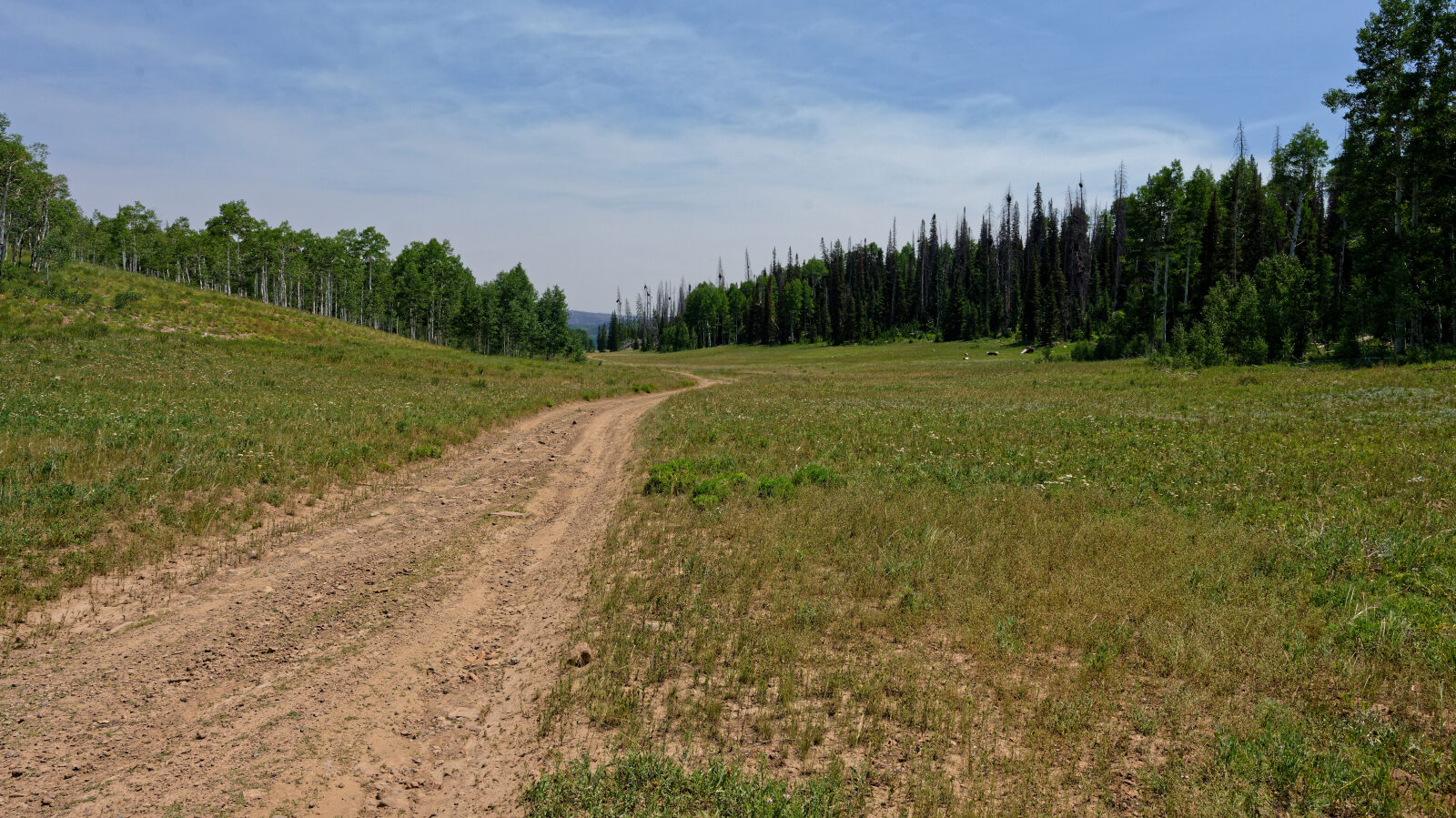 Waypoint 1