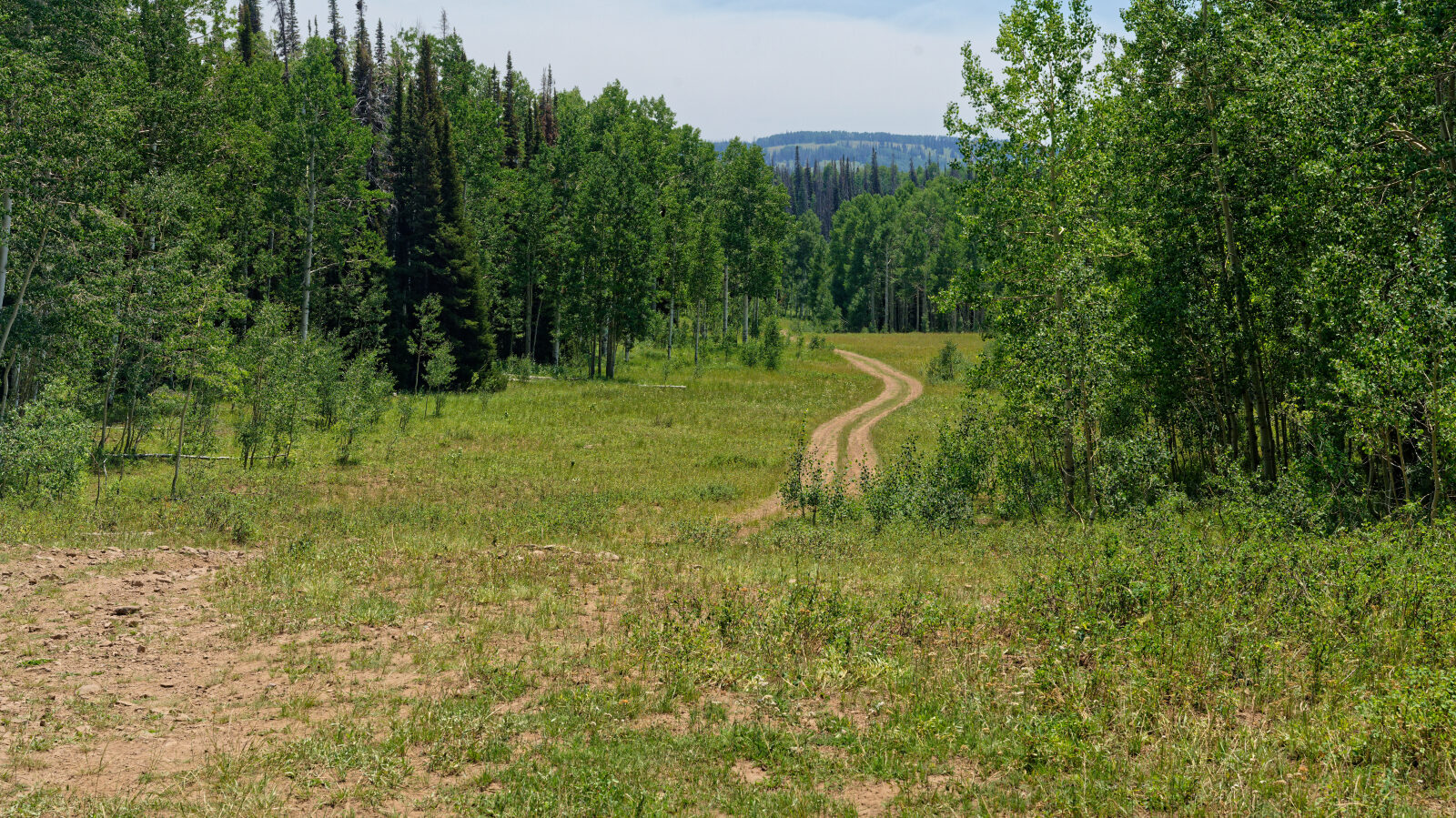 Waypoint 3