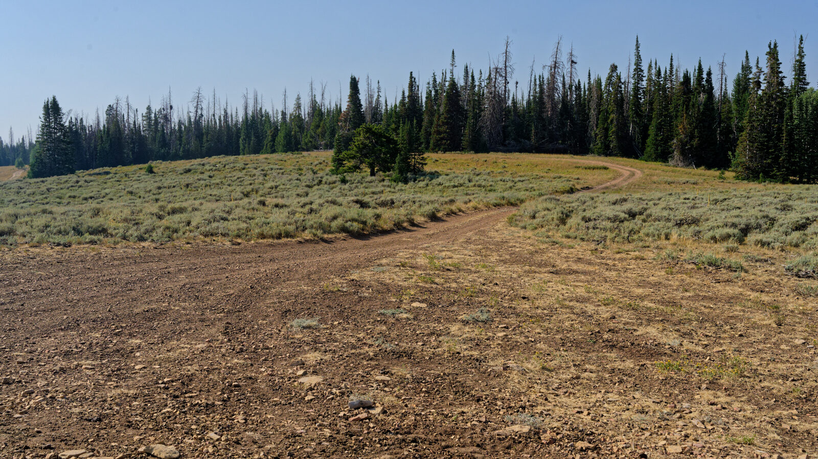 Waypoint 4