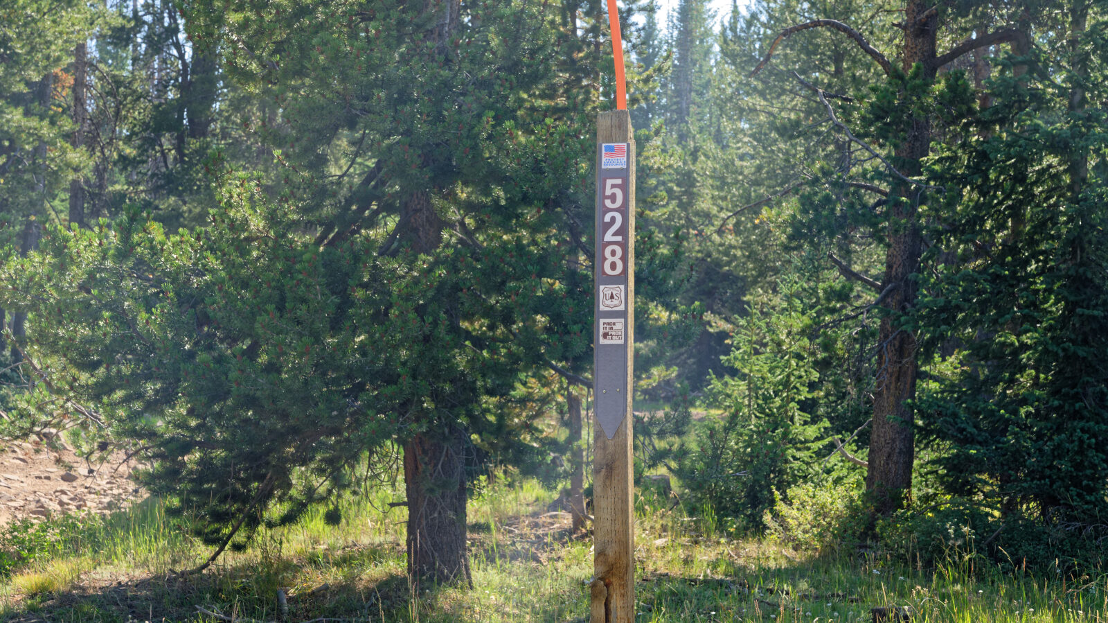 Waypoint 1
