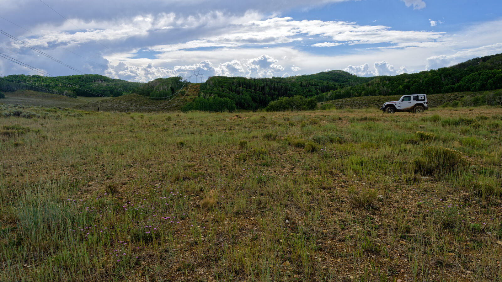 Waypoint 2