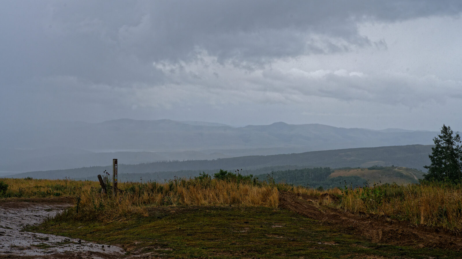 Waypoint 2