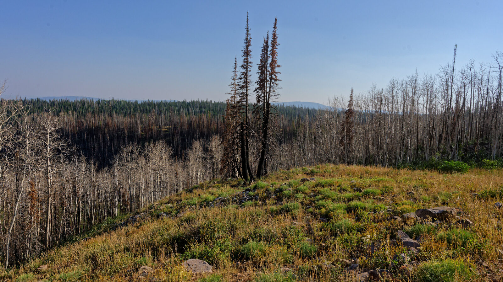 Waypoint 4