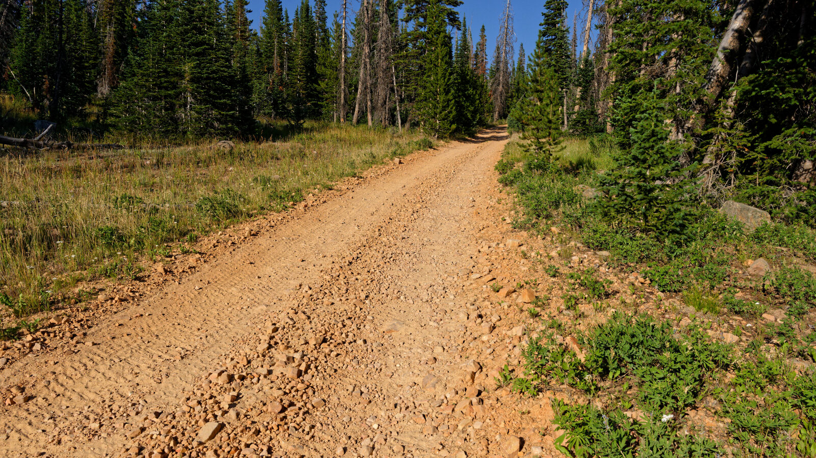 Waypoint 2