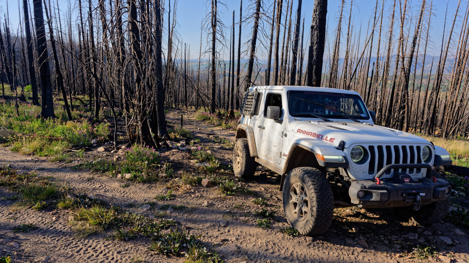 Waypoint 5