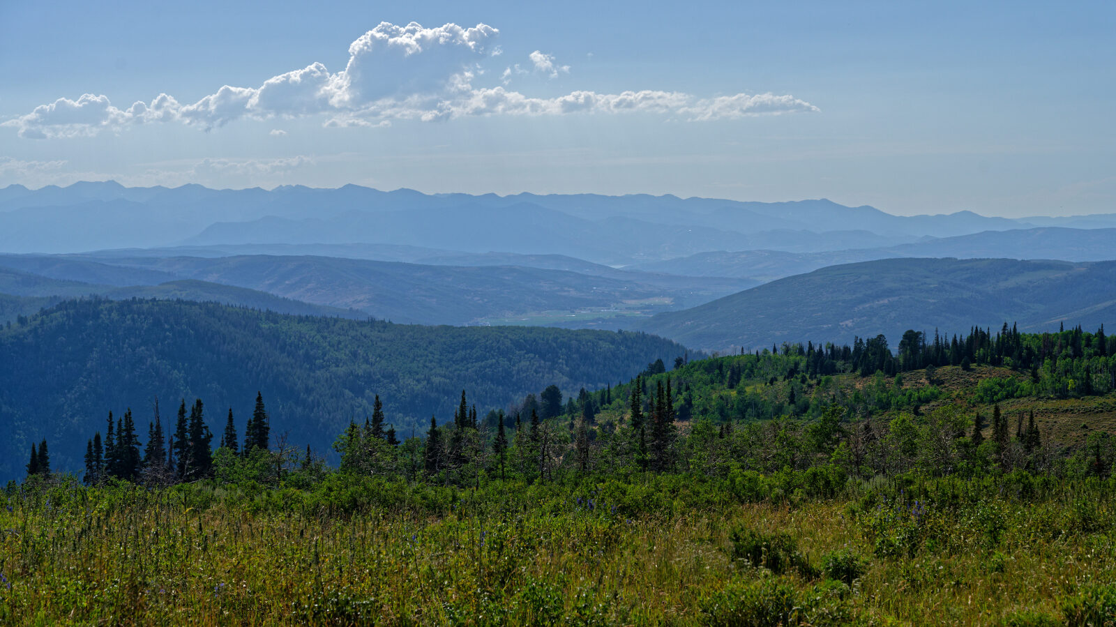 Waypoint 4