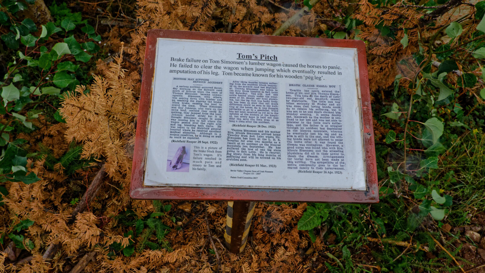 Display sign for Tom's Pitch.