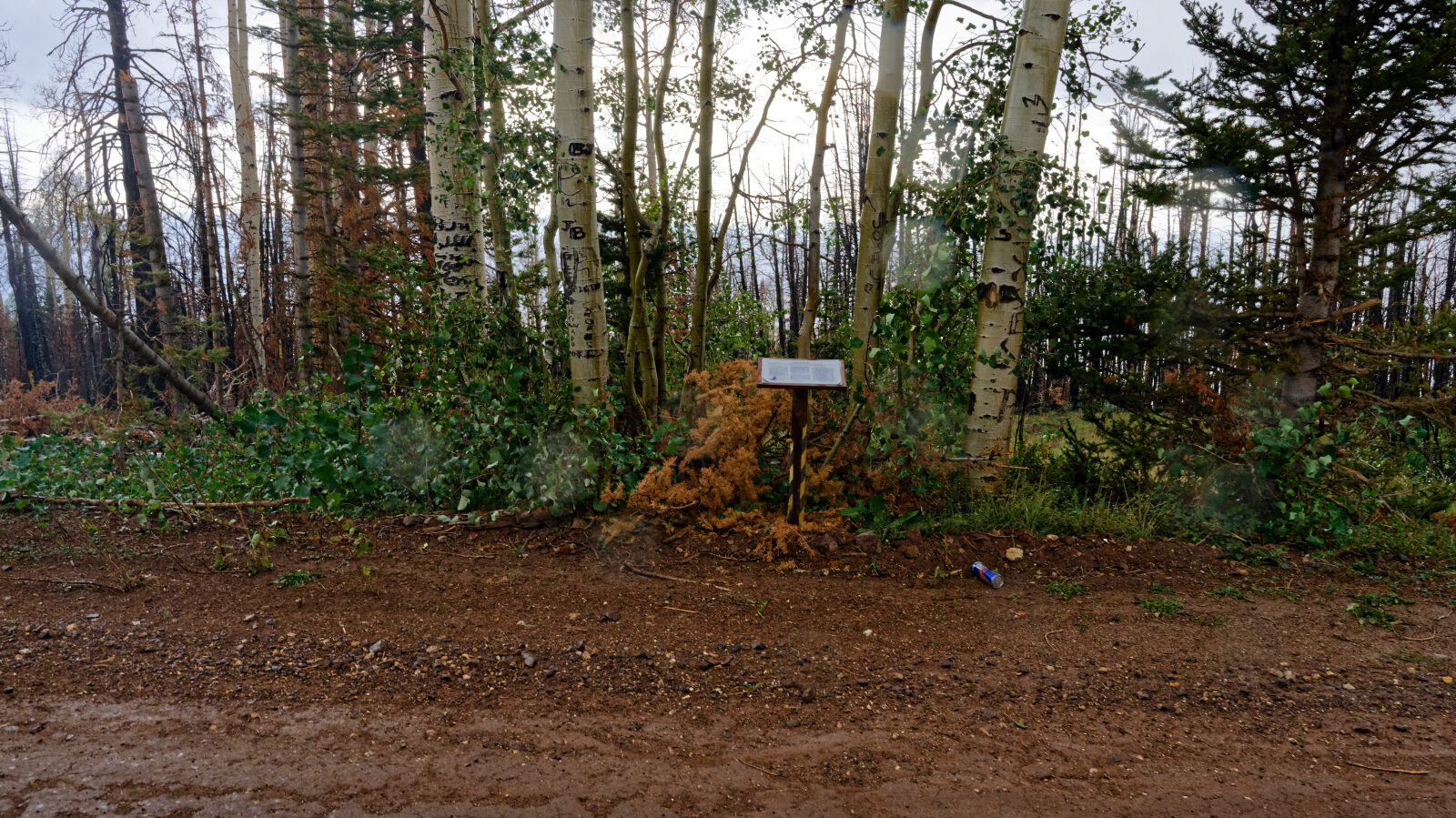 Display sign for Tom's Pitch.