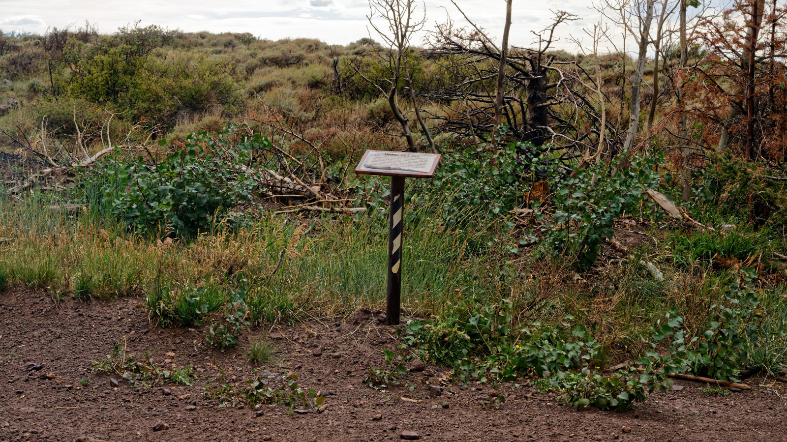 Good spot for photos of the valley. Sign for Quaking Aspen Pitch.