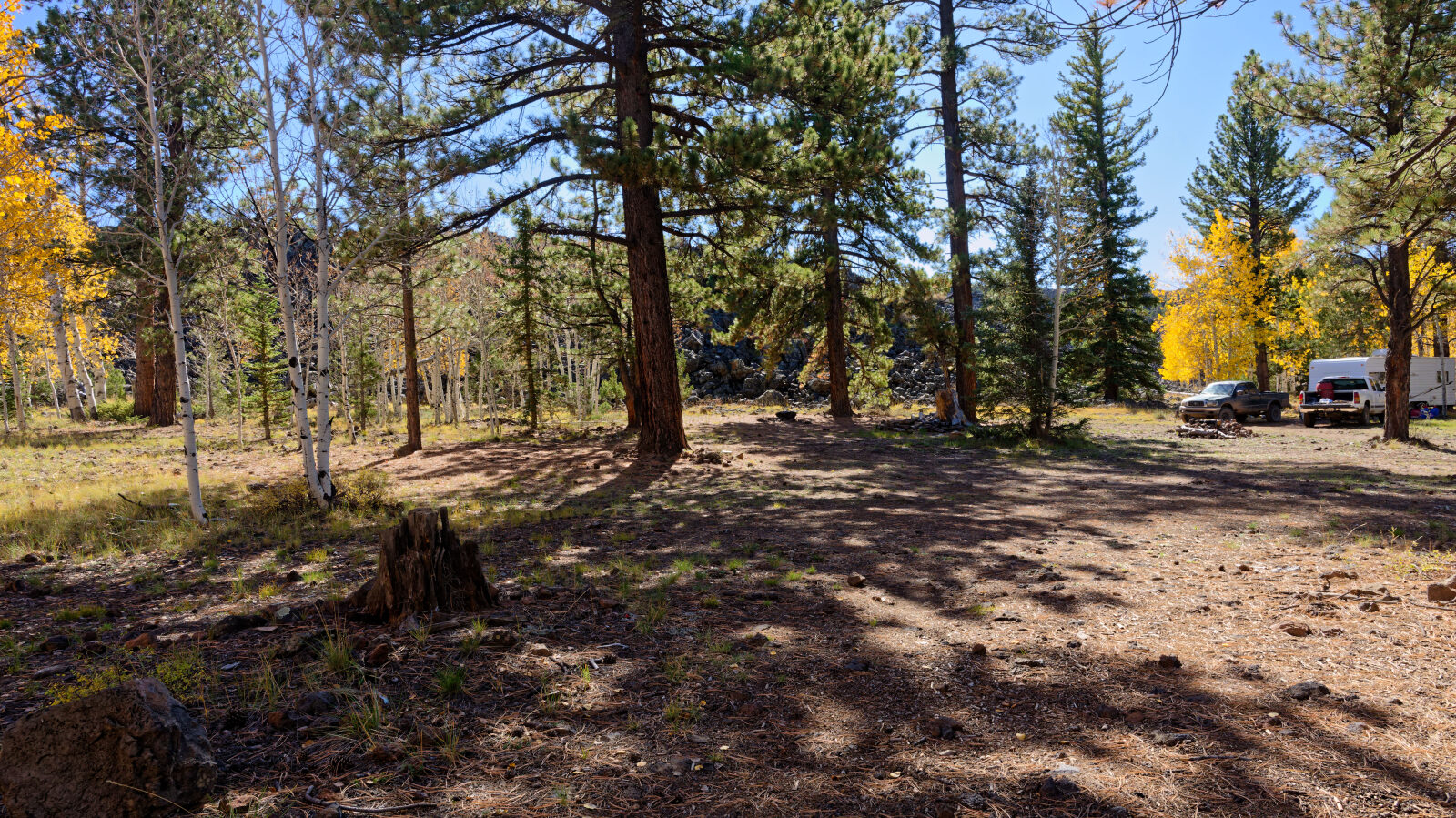 Shady camp spot in the trees, not private. Room for at least three rigs.
