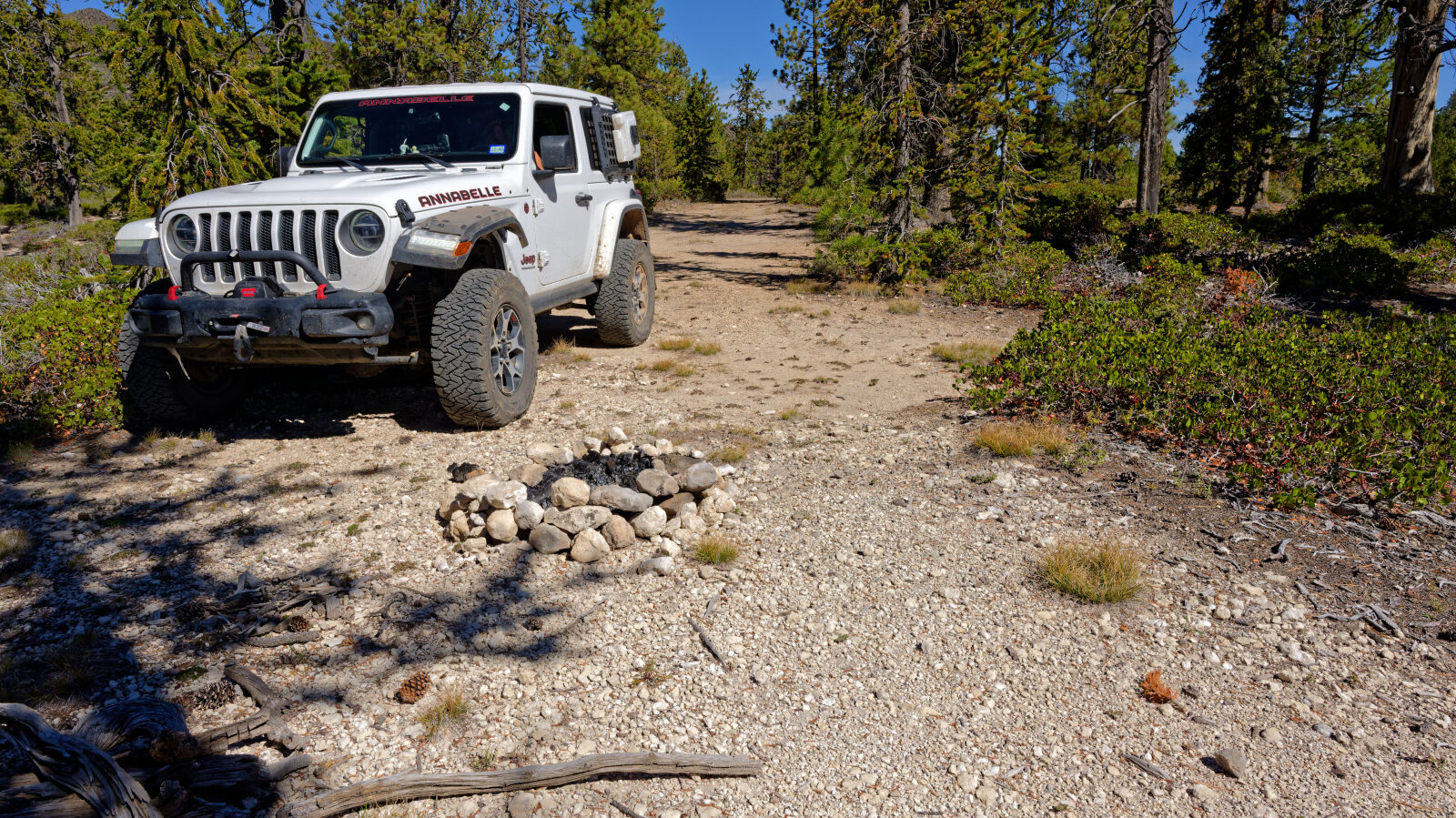 Very small camp spot that barely fits one rig. In the trees with some privacy and little shade.