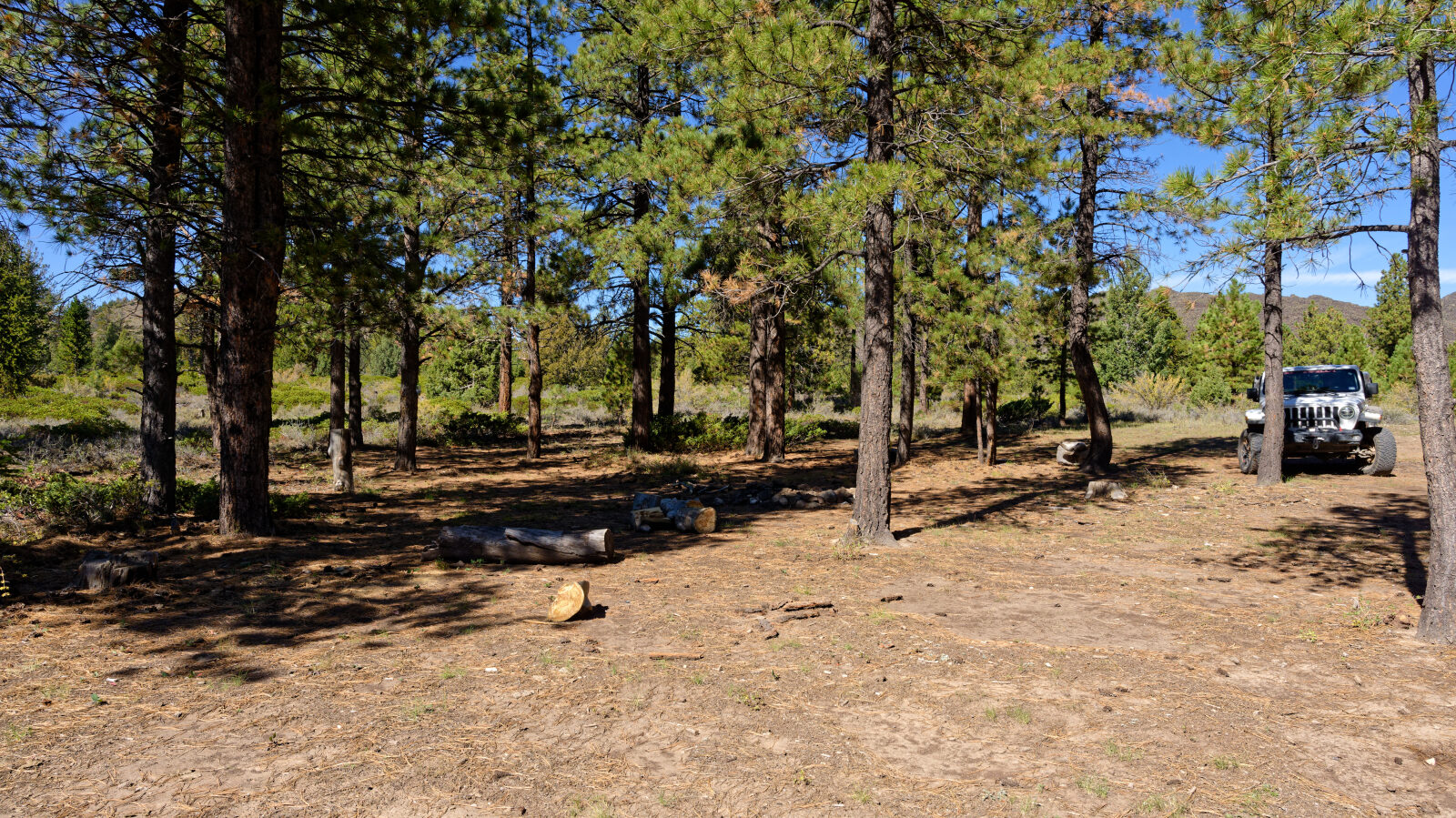 Shady camp spot, not private. Fits 2 to 4 rigs if they are short.