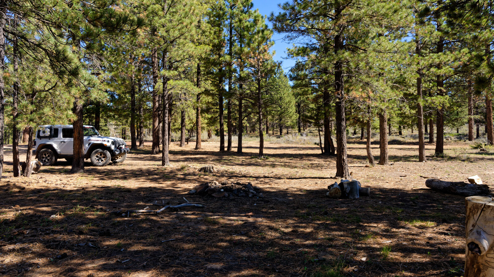 Shady camp spot, not private. Fits 2 to 4 rigs if they are short.