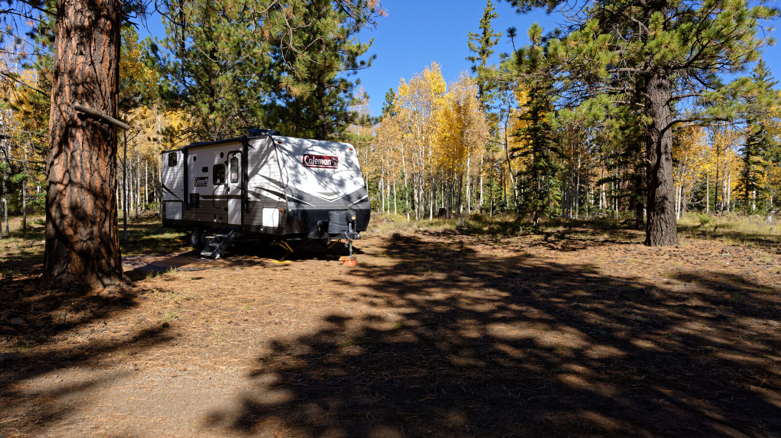 Shady camp spot in the trees, not private. Room for at least three rigs.